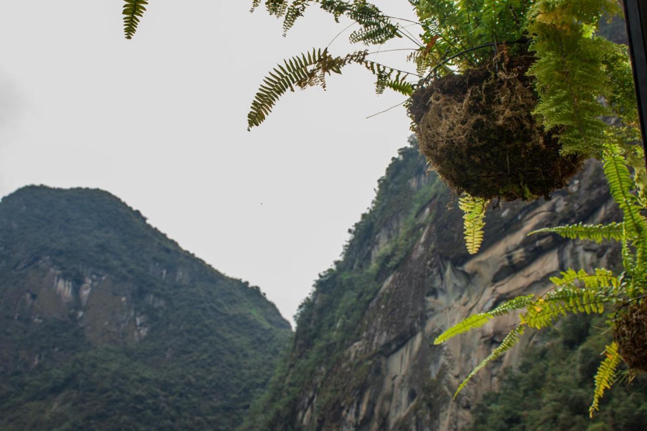 Runas Inn Machupicchu Zewnętrze zdjęcie