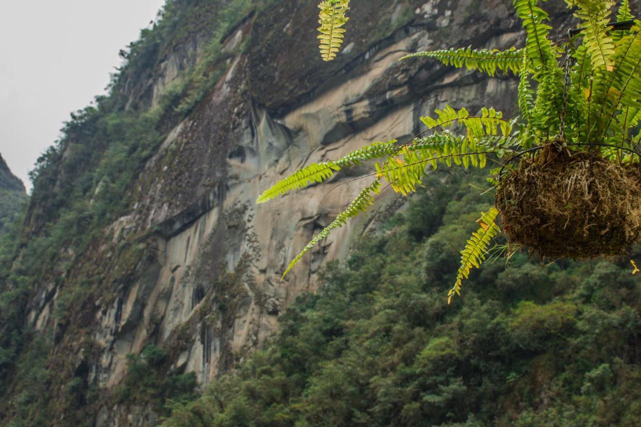 Runas Inn Machupicchu Zewnętrze zdjęcie